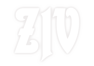 ZIV — бесплатная 2D MMORPG